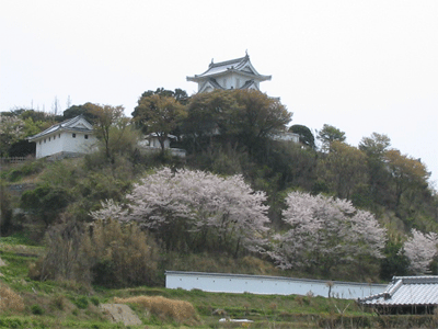 b0108100_20592969.gif