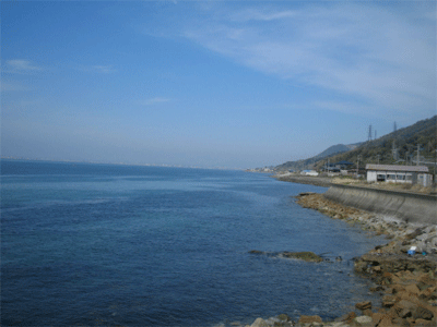 b0108100_20595995.gif