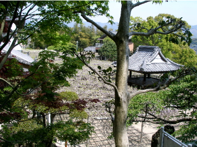c0036203_914502.jpg