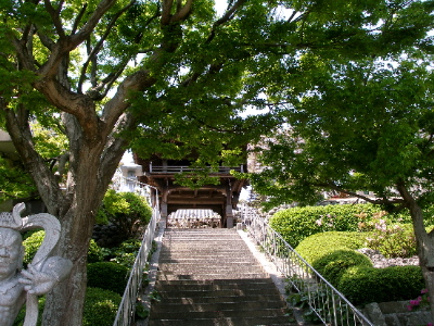 c0036203_96238.jpg