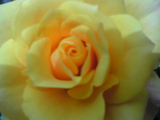 f0052603_21521010.jpg