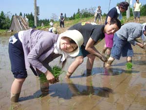 今年もやります！新潟田植え週末キャンプ_a0080406_124266.jpg