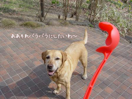 優れ物のボール投げの道具 Burnet Hillのパートナーたち 優れ物のボール投げの道具 Burnet Hillのパートナーたち