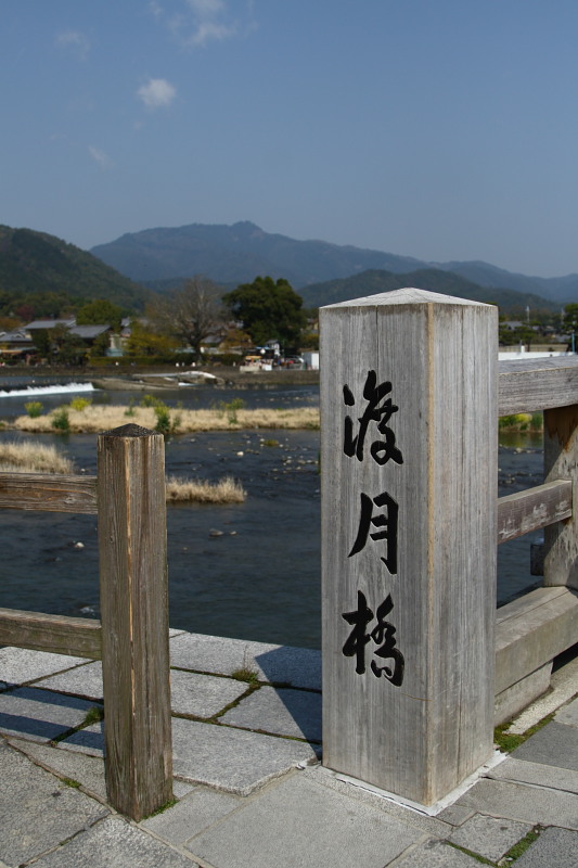 そうだ、京都へ行こう：桜　嵐山_f0130607_16265491.jpg