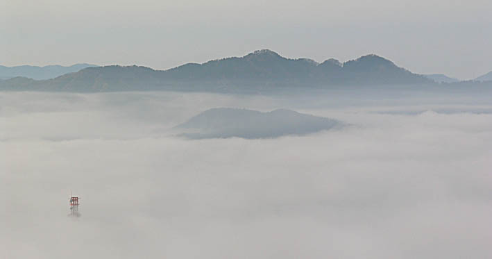 見事な雲海・八幡山　早朝ウオーキング_c0078410_944272.jpg