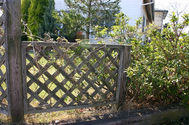 f0011412_20351486.jpg
