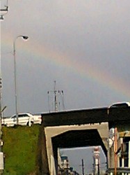 dandelion　＆　rainbow_c0098813_18194964.jpg