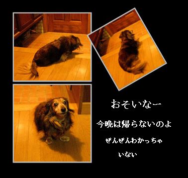 c0073016_22444561.jpg