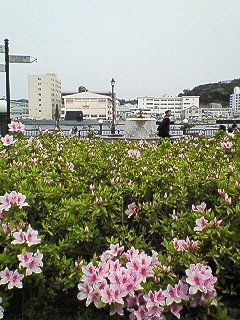d0065116_2036093.jpg