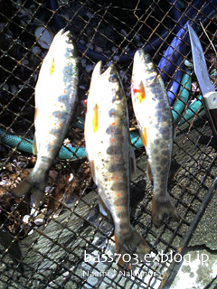 c0091117_13304031.jpg