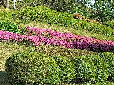 a0087818_17334779.jpg