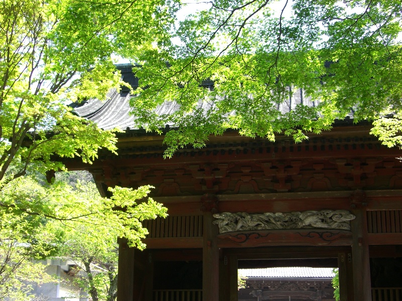 d0023818_947177.jpg