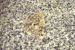 b0026822_15455553.jpg