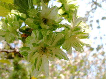 c0044024_13383687.jpg