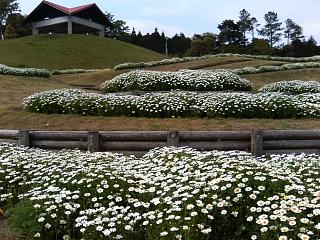 f0010925_212477.jpg