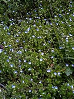 f0077325_128650.jpg