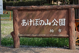 e0108126_1116539.jpg