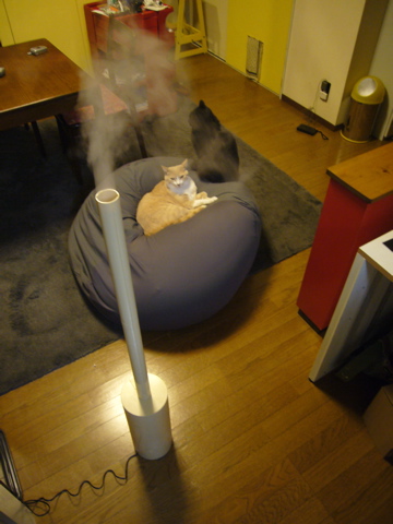 超音波加湿器チムニー2を買った。_e0058443_053891.jpg
