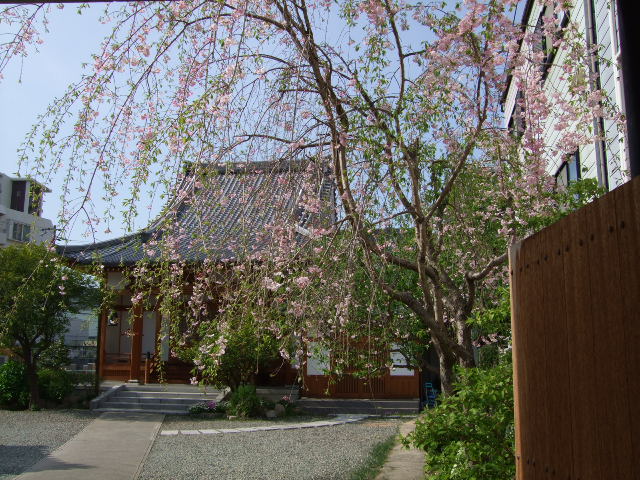 b0060646_23304466.jpg