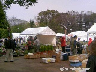 c0108446_23482666.jpg