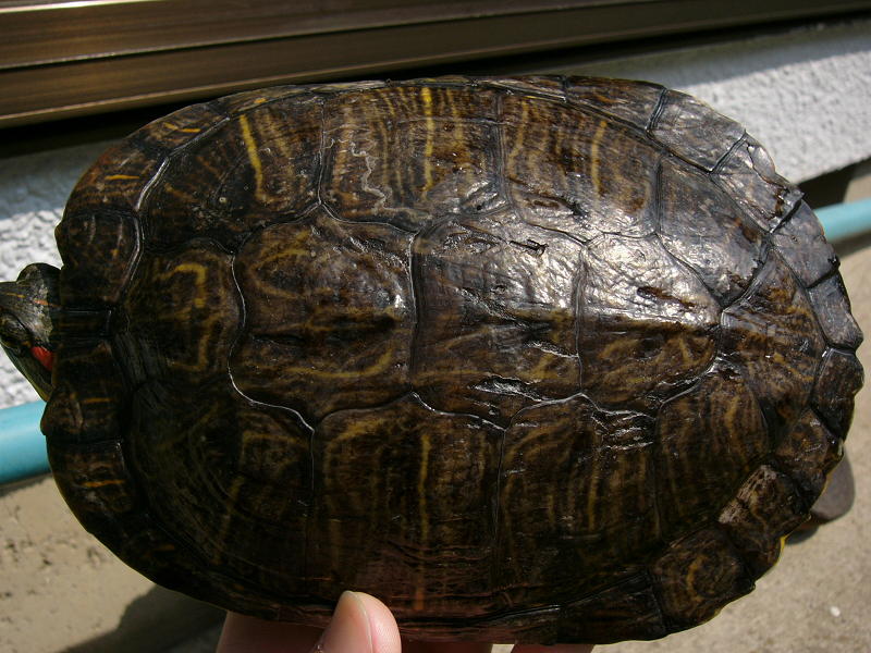 f0096947_121337.jpg