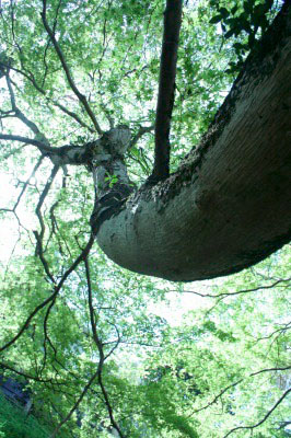 f0042548_22828.jpg