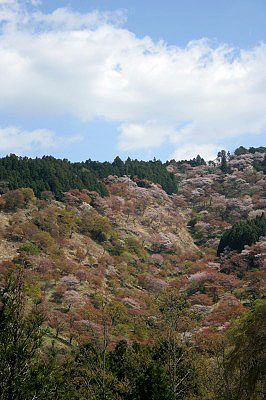 f0042548_2285923.jpg