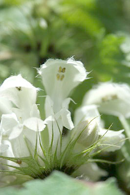 f0042548_2293179.jpg