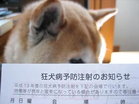 近況報告_c0049950_2127299.jpg