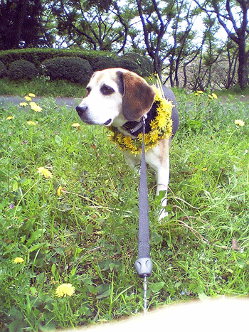 b0005652_1349293.gif