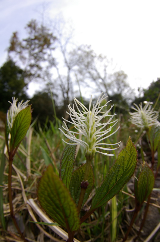 ギョガンDE岡山遠征_a0009554_22325586.jpg