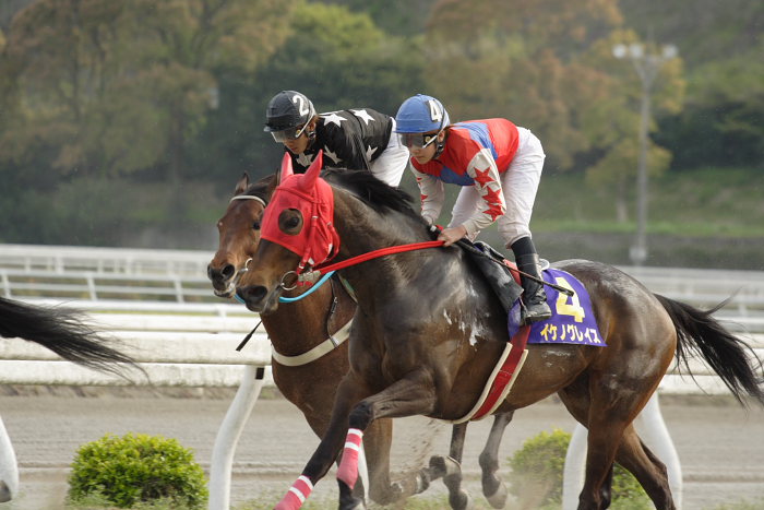 2007年4月15日（日） 高知競馬 10R 第23回 南国桜花賞 レース_a0077663_18401899.jpg