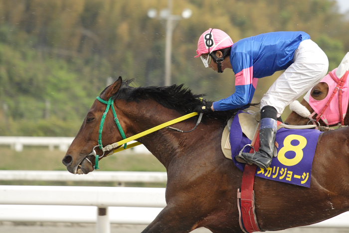 2007年4月15日（日） 高知競馬 10R 第23回 南国桜花賞 レース_a0077663_18402817.jpg