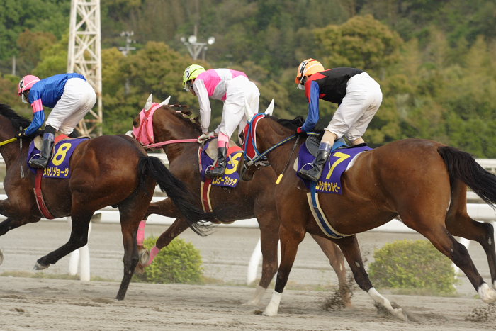 2007年4月15日（日） 高知競馬 10R 第23回 南国桜花賞 レース_a0077663_18403810.jpg