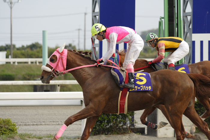 2007年4月15日（日） 高知競馬 10R 第23回 南国桜花賞 レース_a0077663_18413386.jpg