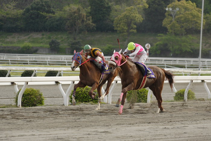 2007年4月15日（日） 高知競馬 10R 第23回 南国桜花賞 レース_a0077663_1841979.jpg