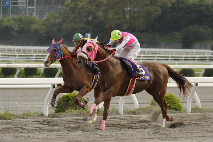 2007年4月15日（日） 高知競馬 10R 第23回 南国桜花賞 レース_a0077663_18484597.jpg