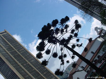 f0050468_9144746.jpg