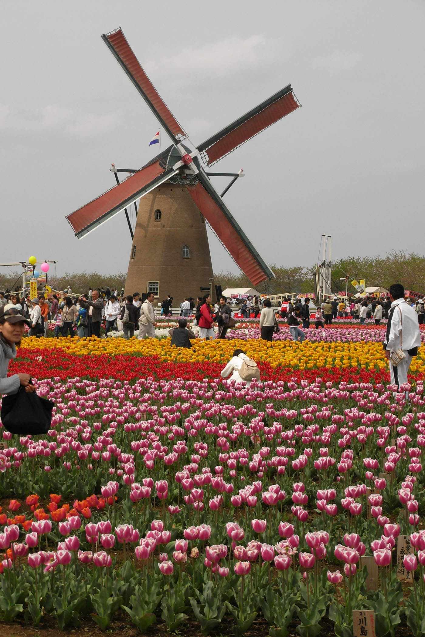e0071178_18215141.jpg