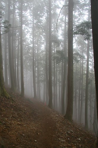 f0073587_12231794.jpg