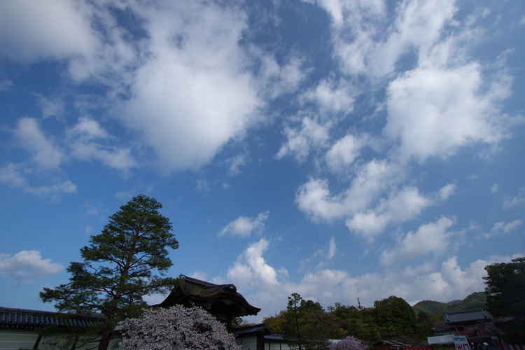 御室仁和寺_e0051888_21161993.jpg