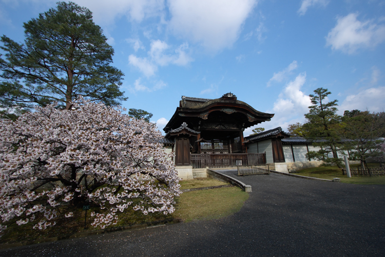 御室仁和寺_e0051888_21163493.jpg