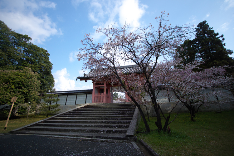 御室仁和寺_e0051888_21164618.jpg