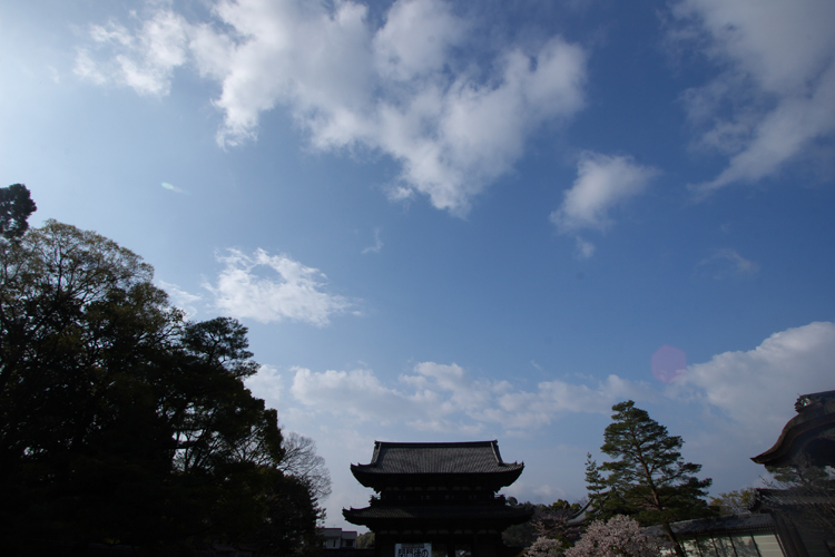 御室仁和寺_e0051888_2119567.jpg