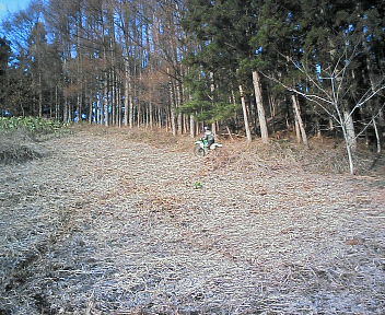 e0104702_1833030.jpg