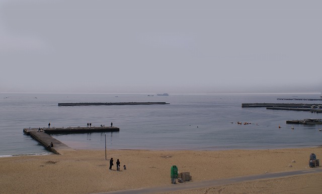 e0039703_1658460.jpg