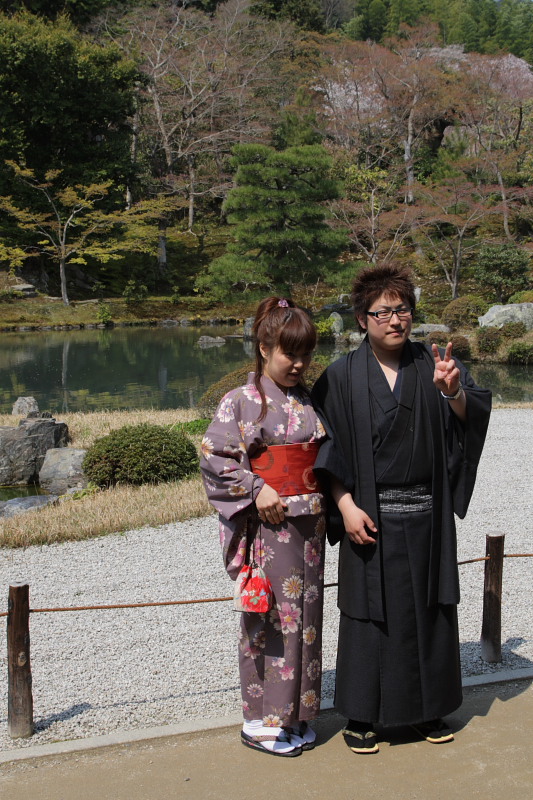 そうだ、京都へ行こう：桜　天龍寺_f0130607_5382489.jpg