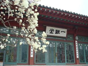 b0036210_1533274.jpg