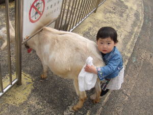 ♪上野動物園♪_e0047610_1994342.jpg