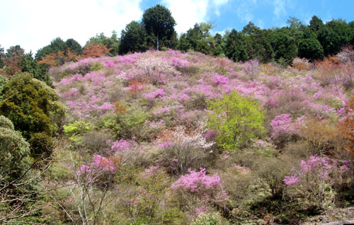 京都一周トレイル 4_e0048413_21295165.jpg